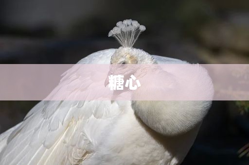 糖心