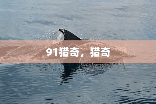 91猎奇，猎奇