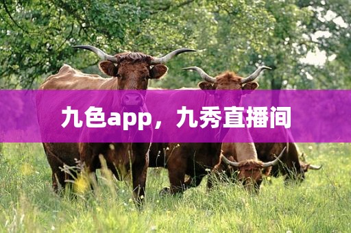 九色app，九秀直播间