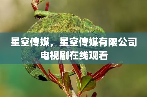星空传媒，星空传媒有限公司电视剧在线观看