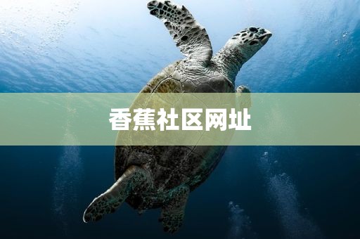 香蕉社区网址