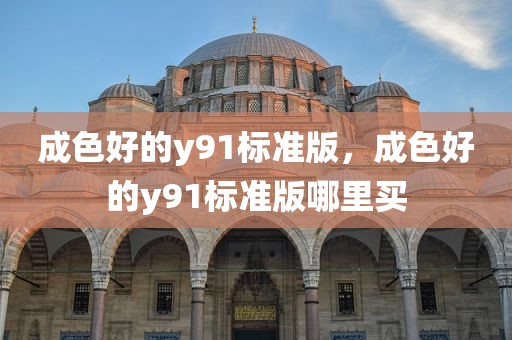 成色好的y91标准版，成色好的y91标准版哪里买