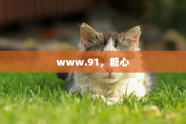 www.91，糖心