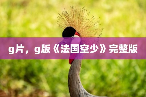 g片，g版《法国空少》完整版
