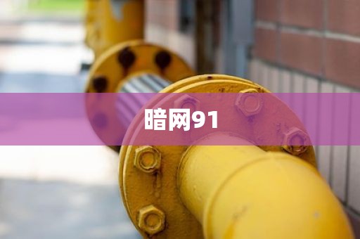 暗网91