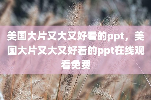 美国大片又大又好看的ppt，美国大片又大又好看的ppt在线观看免费