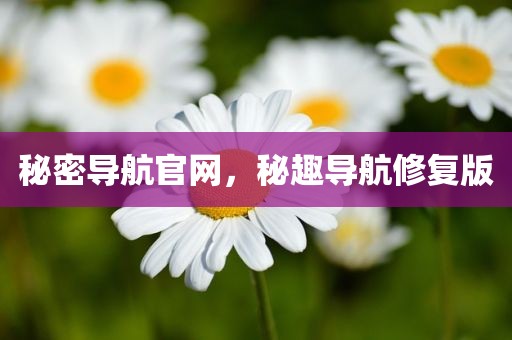秘密导航官网，秘趣导航修复版
