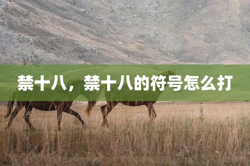 禁十八，禁十八的符号怎么打
