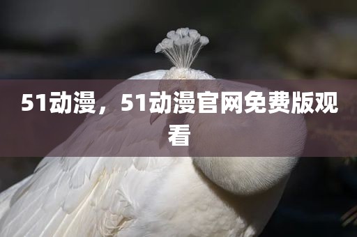 51动漫，51动漫官网免费版观看