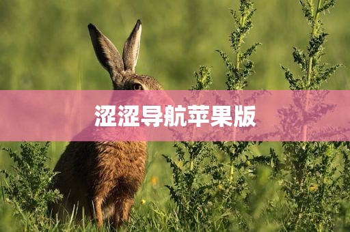 涩涩导航苹果版