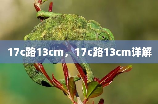 17c路13cm，17c路13cm详解