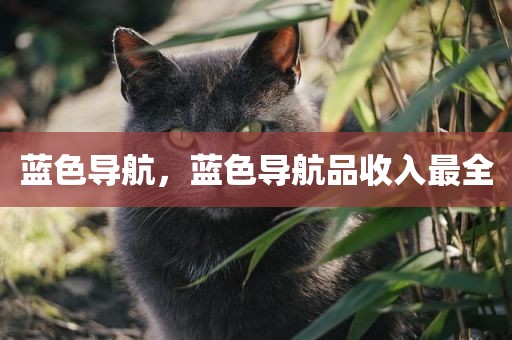 蓝色导航，蓝色导航品收入最全