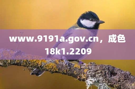 www.9191a.gov.cn，成色18k1.2209