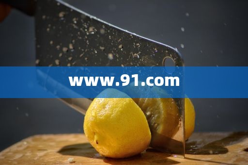www.91.com