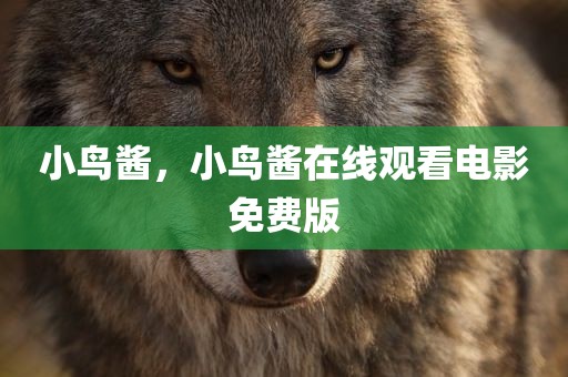 小鸟酱，小鸟酱在线观看电影免费版
