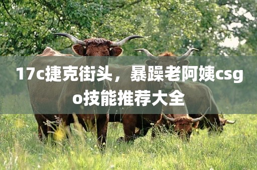 17c捷克街头，暴躁老阿姨csgo技能推荐大全
