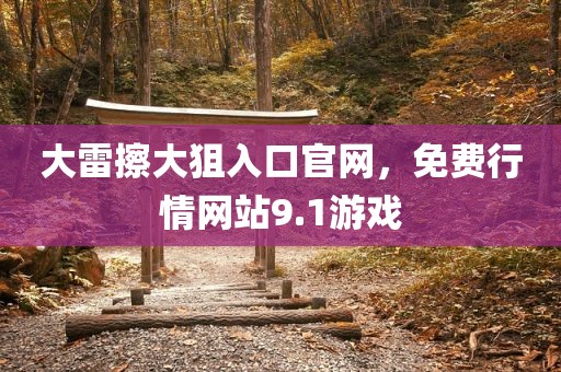 大雷擦大狙入口官网，免费行情网站9.1游戏