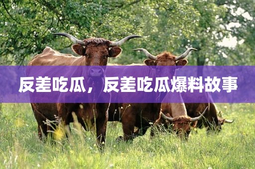 反差吃瓜，反差吃瓜爆料故事