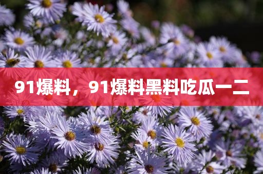 91爆料，91爆料黑料吃瓜一二