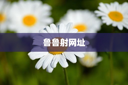 鲁鲁射网址