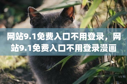 网站9.1免费入口不用登录，网站9.1免费入口不用登录漫画