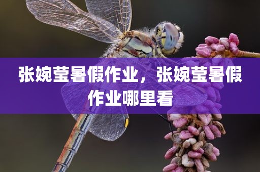 张婉莹暑假作业，张婉莹暑假作业哪里看
