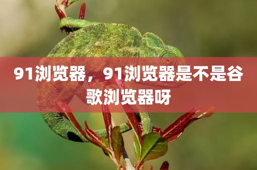 91浏览器，91浏览器是不是谷歌浏览器呀