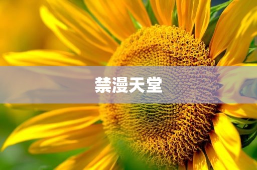 禁漫天堂