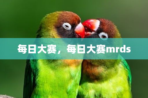 每日大赛，每日大赛mrds