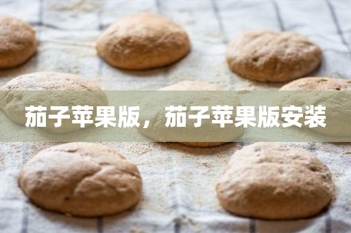 茄子苹果版，茄子苹果版安装