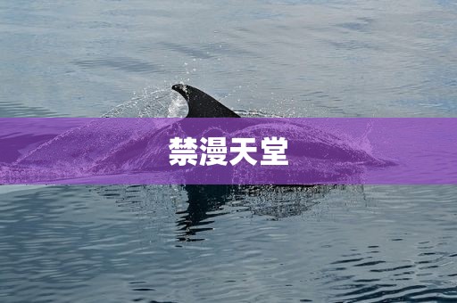 禁漫天堂