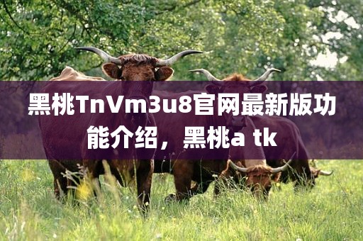 黑桃TnVm3u8官网最新版功能介绍，黑桃a tk