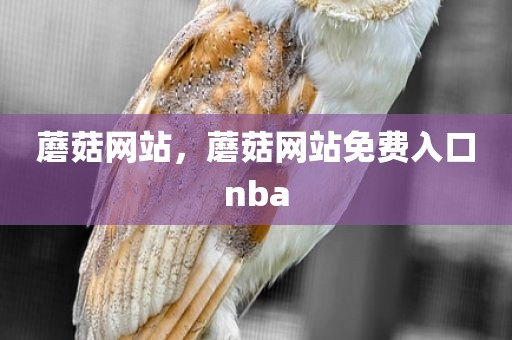 蘑菇网站，蘑菇网站免费入口nba