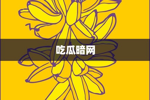 吃瓜暗网