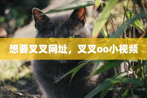 想要叉叉网址，叉叉oo小视频