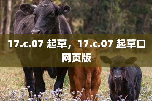 17.c.07 起草，17.c.07 起草口网页版