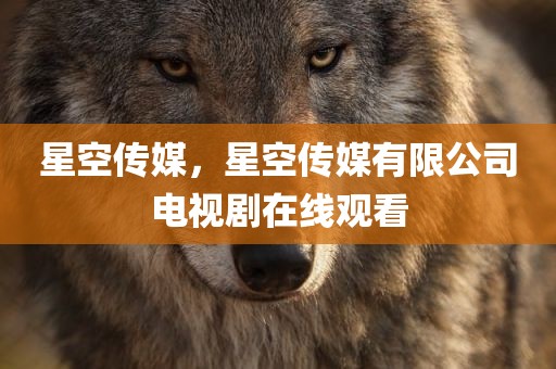 星空传媒，星空传媒有限公司电视剧在线观看
