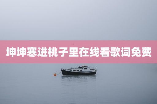 坤坤寒进桃子里在线看歌词免费