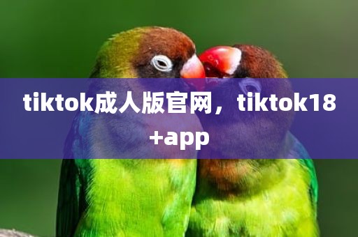 tiktok成人版官网，tiktok18+app