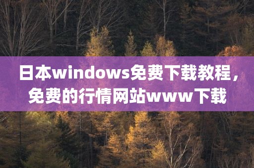 日本windows免费下载教程，免费的行情网站www下载