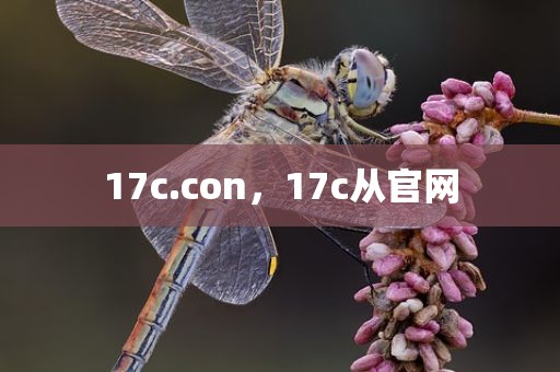 17c.con，17c从官网