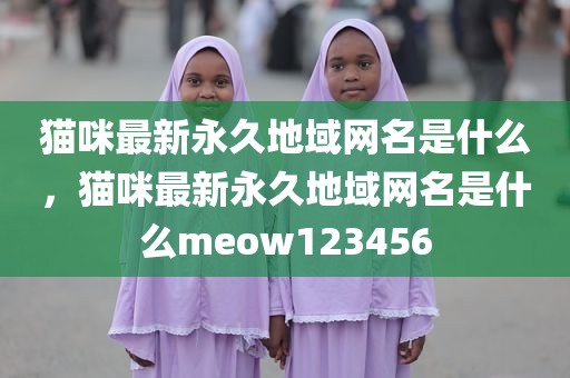 猫咪最新永久地域网名是什么，猫咪最新永久地域网名是什么meow123456