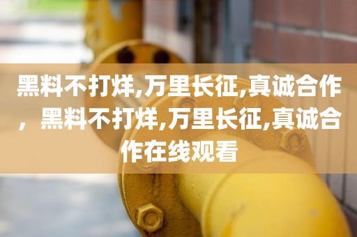 黑料不打烊,万里长征,真诚合作，黑料不打烊,万里长征,真诚合作在线观看