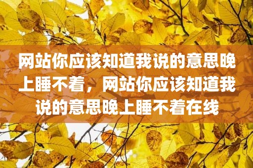 网站你应该知道我说的意思晚上睡不着，网站你应该知道我说的意思晚上睡不着在线