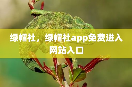 绿帽社，绿帽社app免费进入网站入口