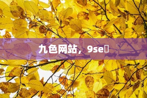 九色网站，9se 