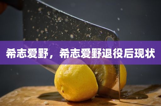 希志爱野，希志爱野退役后现状