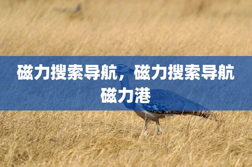 磁力搜索导航，磁力搜索导航磁力港