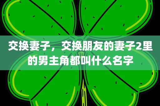 交换妻子，交换朋友的妻子2里的男主角都叫什么名字