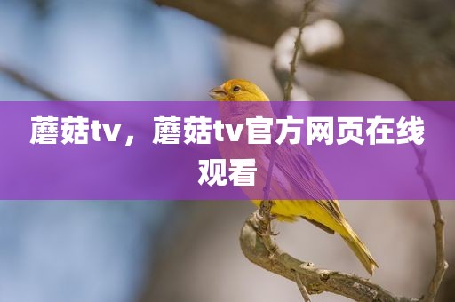 蘑菇tv，蘑菇tv官方网页在线观看